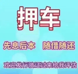 杭州车辆抵押贷款,不押车贷款,不看信用大数据